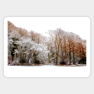 Woodland in Snow Sticker